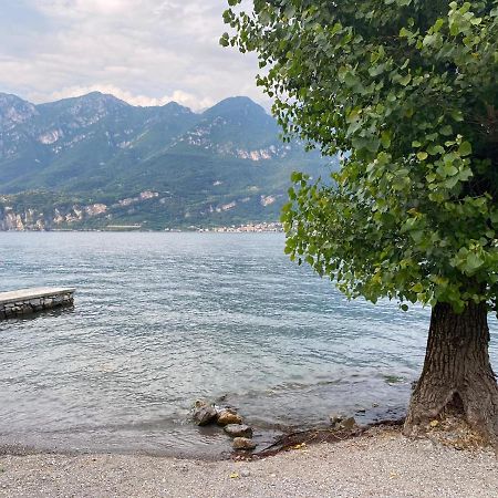 Al Cottage Oliveto Lario المظهر الخارجي الصورة