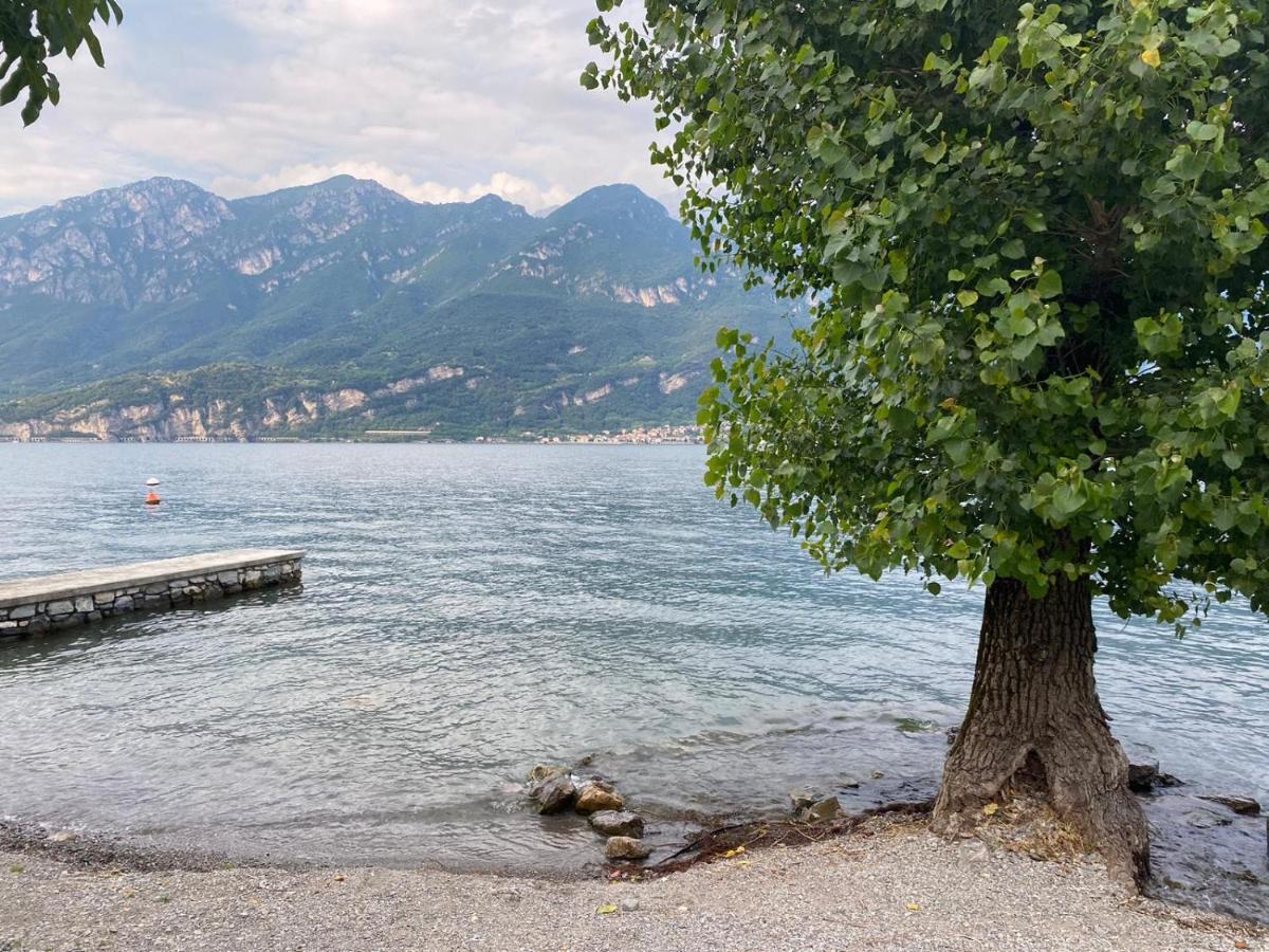 Al Cottage Oliveto Lario المظهر الخارجي الصورة